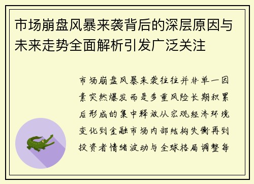 市场崩盘风暴来袭背后的深层原因与未来走势全面解析引发广泛关注
